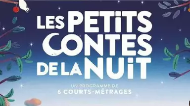 Animation de la Bibliothèque
