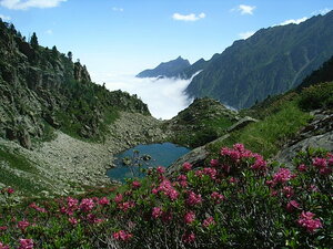 Le Parc national des Pyrénées